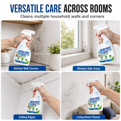 Fast-Acting Wall Mold Remover Spray