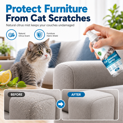 🐱 Cat Scratch Deterrent Spray | 50/100ml