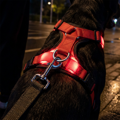 LED Light-Up Dog Harness for Night Walking