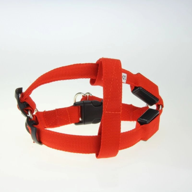LED Light-Up Dog Harness for Night Walking