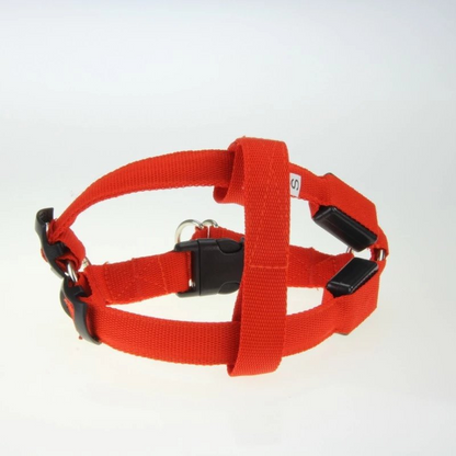 LED Light-Up Dog Harness for Night Walking