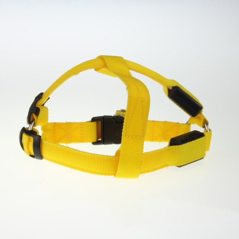 LED Light-Up Dog Harness for Night Walking