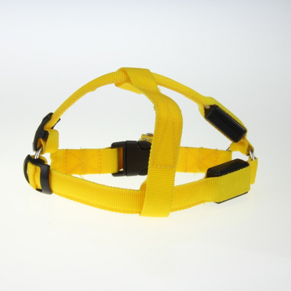LED Light-Up Dog Harness for Night Walking