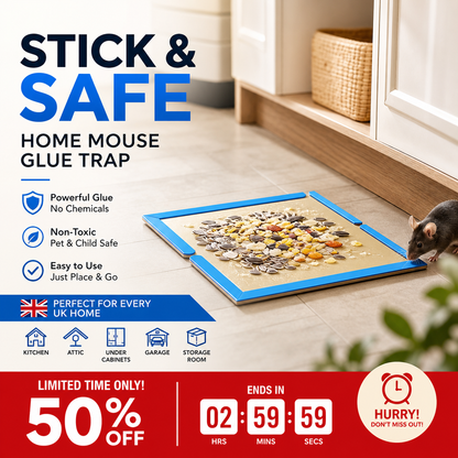 ⏳🔥LIMITED-TIME 50% OFF! ⏰Mouse Glue Trap Indoor Use for Home